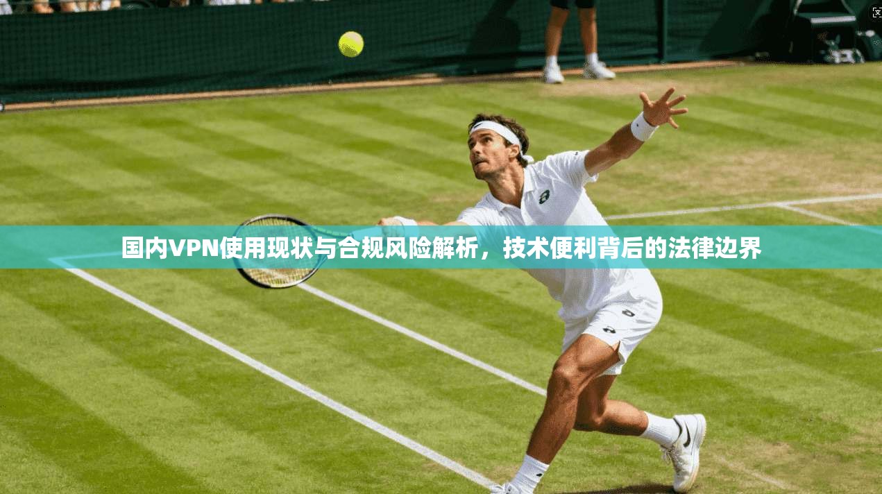 国内VPN使用现状与合规风险解析，技术便利背后的法律边界  第1张
