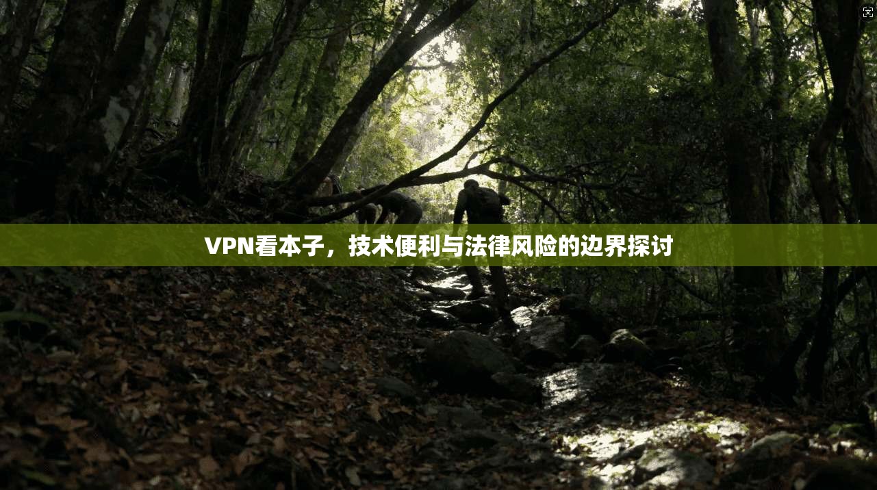 VPN看本子，技术便利与法律风险的边界探讨  第1张