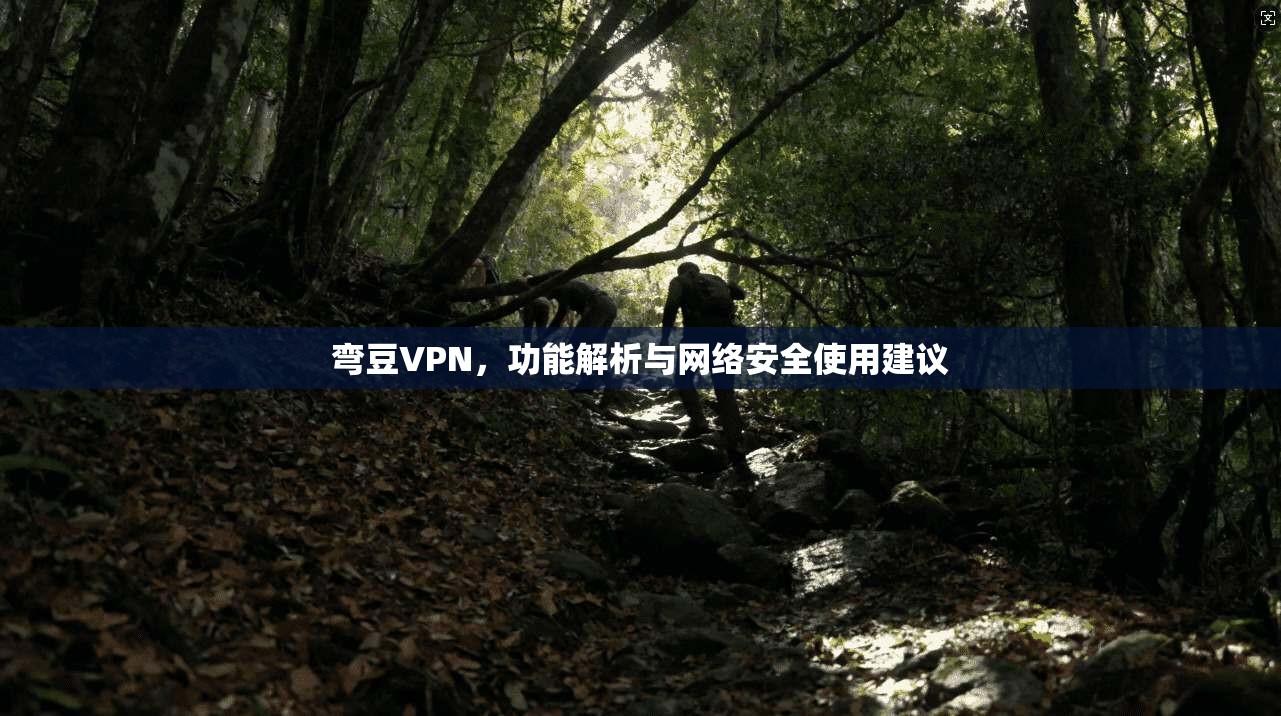 弯豆VPN,功能解析与网络安全使用建议 第1张 弯豆VPN,功能解析与网络安全使用建议 第1张