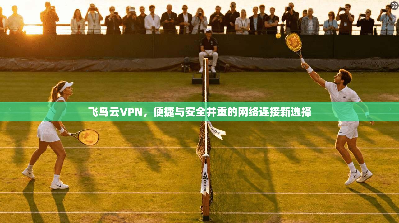 飞鸟云VPN,便捷与安全并重的网络连接新选择 第1张 飞鸟云VPN,便捷与安全并重的网络连接新选择 第1张