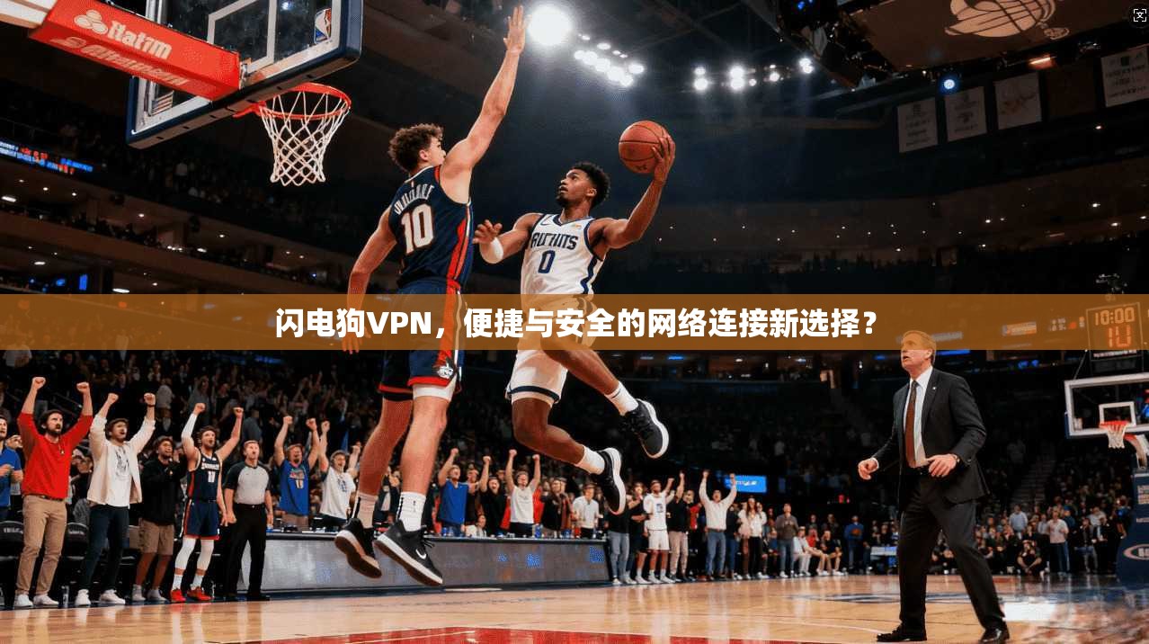 闪电狗VPN,便捷与安全的网络连接新选择? 第1张 闪电狗VPN,便捷与安全的网络连接新选择? 第1张