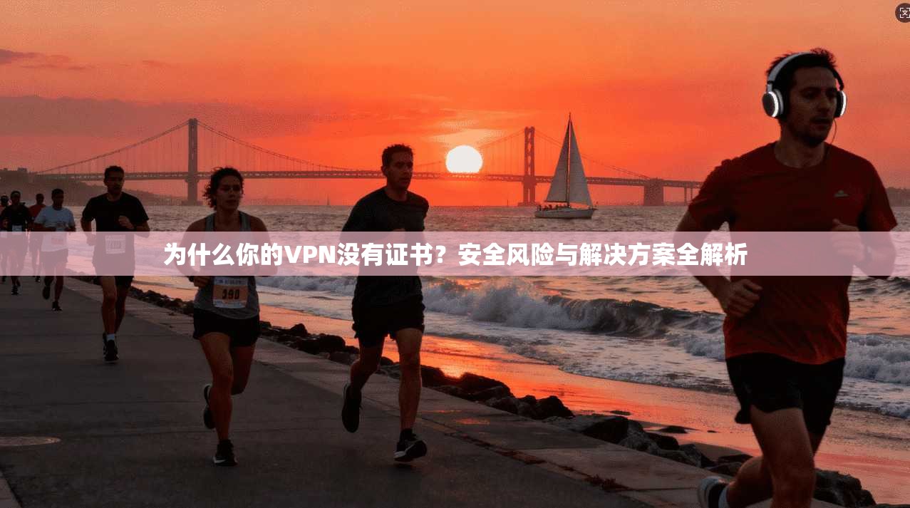 为什么你的VPN没有证书？安全风险与解决方案全解析  第1张