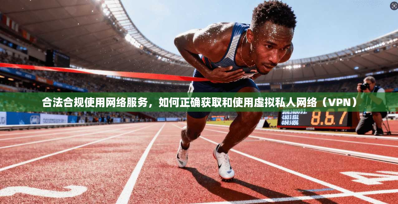 合法合规使用网络服务,如何正确获取和使用虚拟私人网络(VPN) 第1张 合法合规使用网络服务,如何正确获取和使用虚拟私人网络(VPN) 第1张