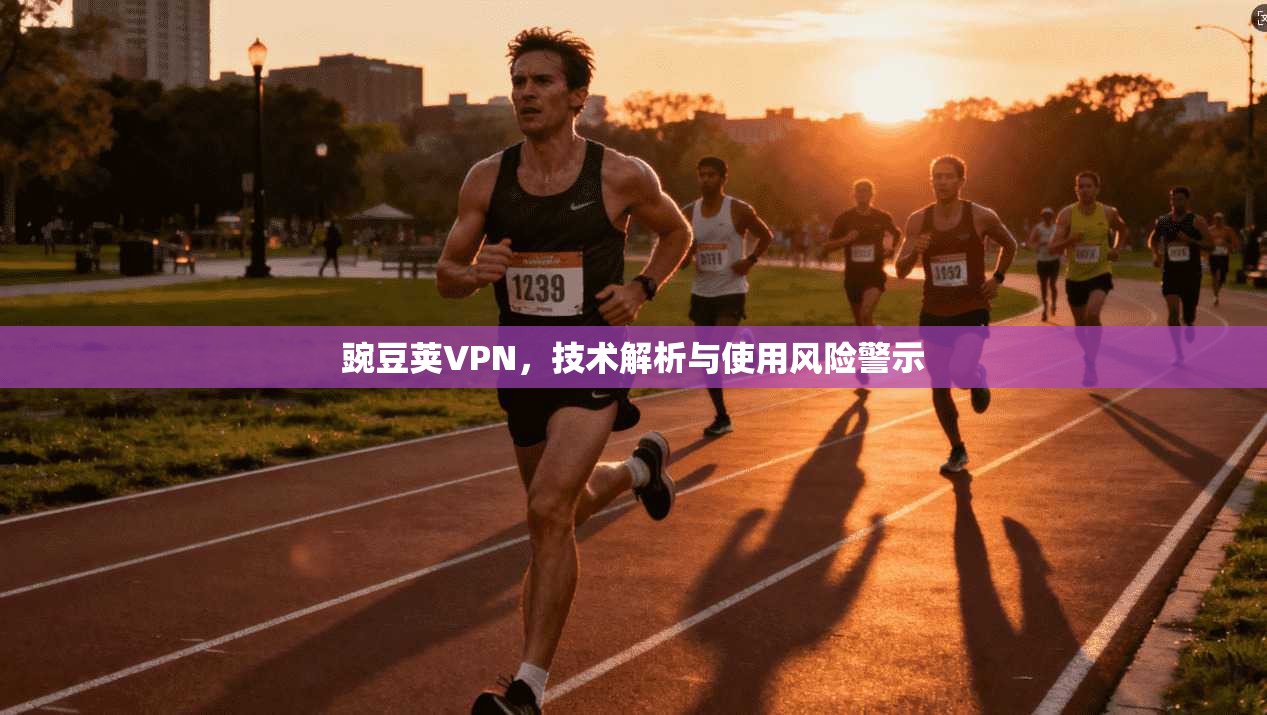 豌豆荚VPN，技术解析与使用风险警示  第1张