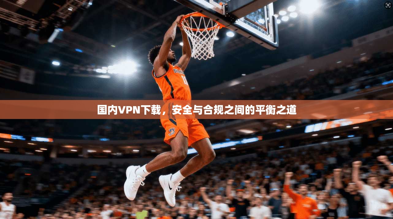 国内VPN下载，安全与合规之间的平衡之道  第1张