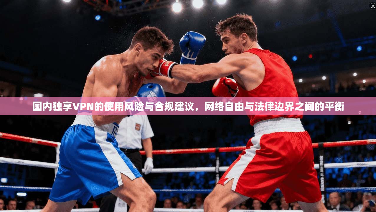 国内独享VPN的使用风险与合规建议，网络自由与法律边界之间的平衡  第1张