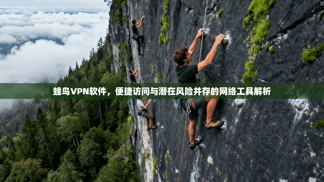 蜂鸟VPN软件,便捷访问与潜在风险并存的网络工具解析 第1张 蜂鸟VPN软件,便捷访问与潜在风险并存的网络工具解析 第1张