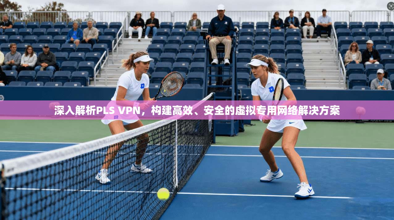 深入解析PLS VPN，构建高效、安全的虚拟专用网络解决方案  第1张