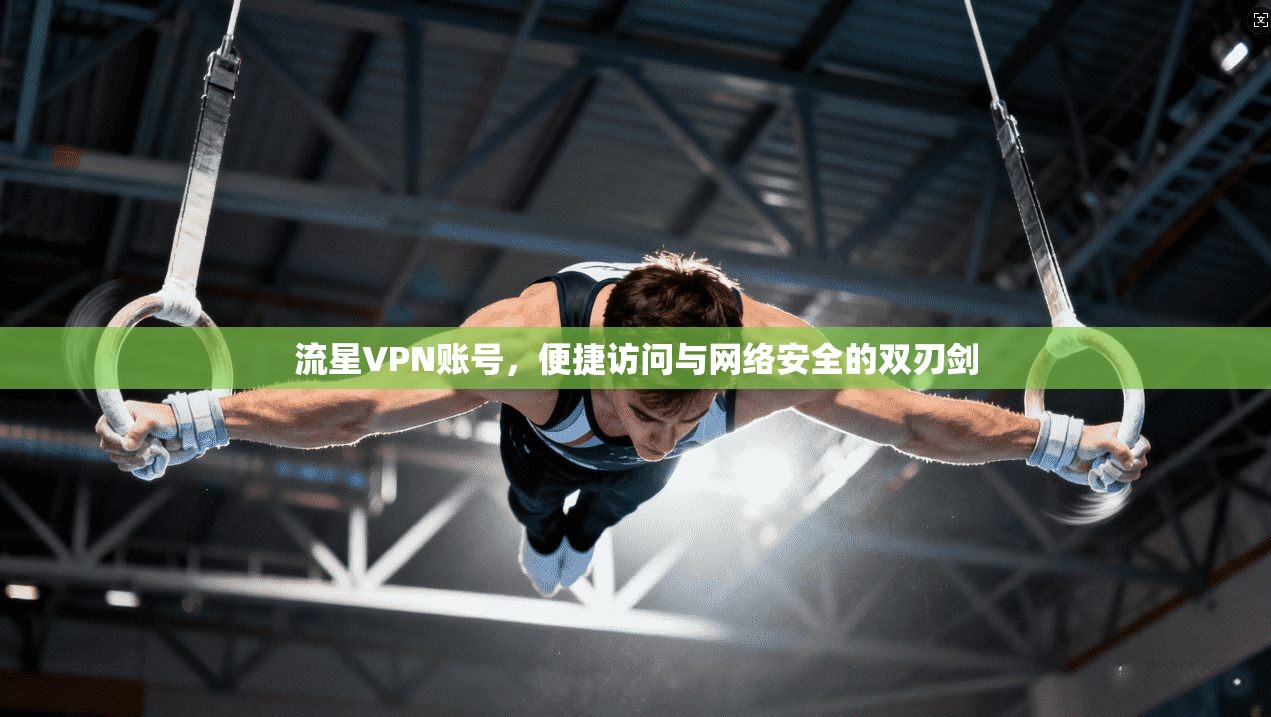 流星VPN账号，便捷访问与网络安全的双刃剑  第1张