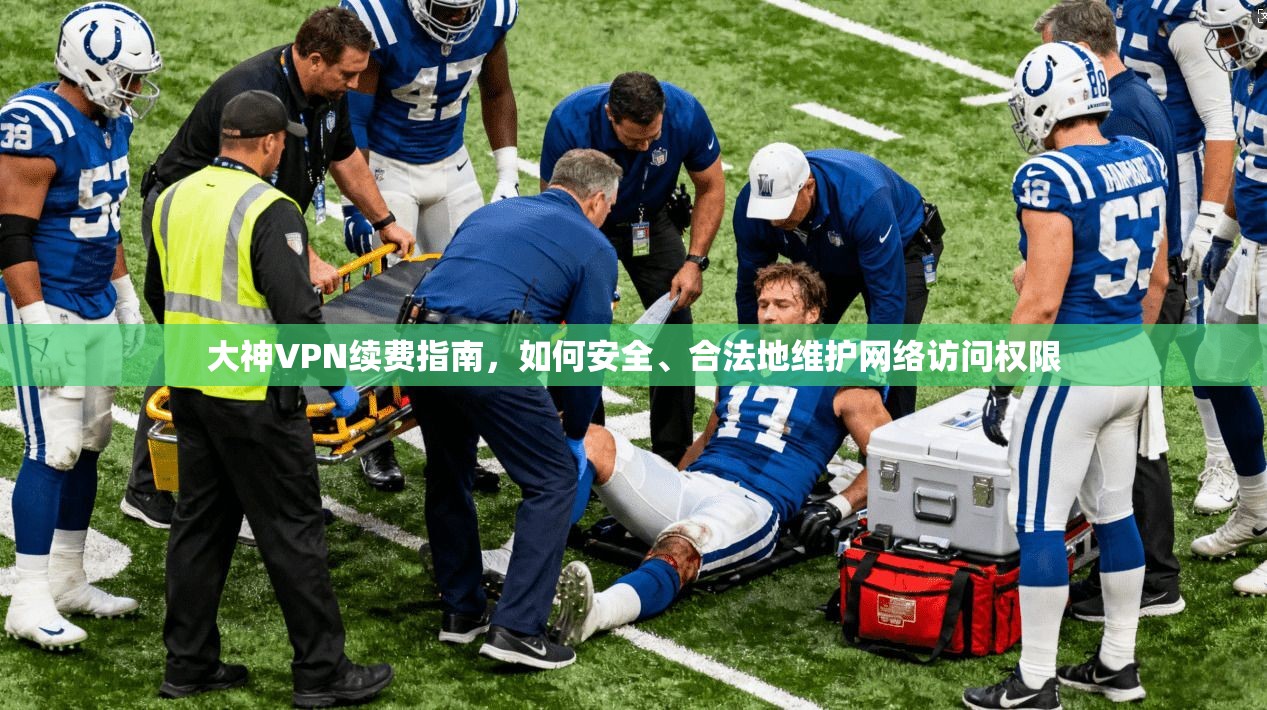 大神VPN续费指南，如何安全、合法地维护网络访问权限  第1张