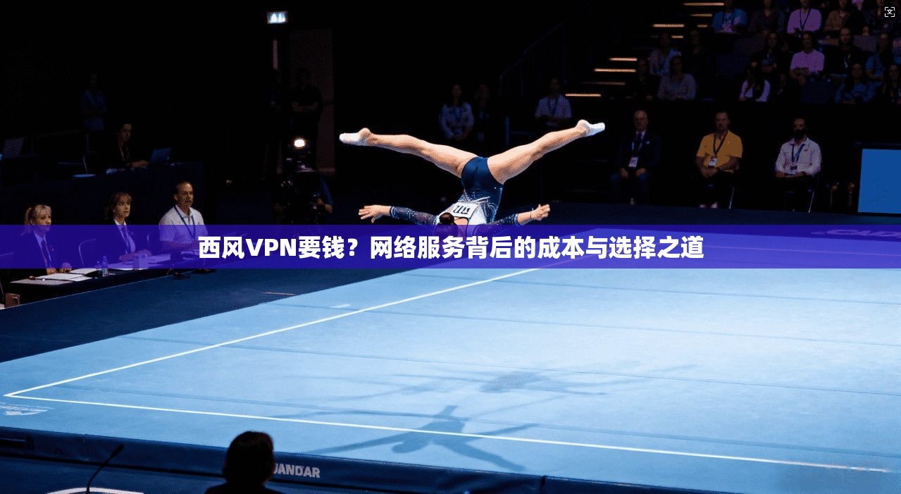 西风VPN要钱？网络服务背后的成本与选择之道  第1张