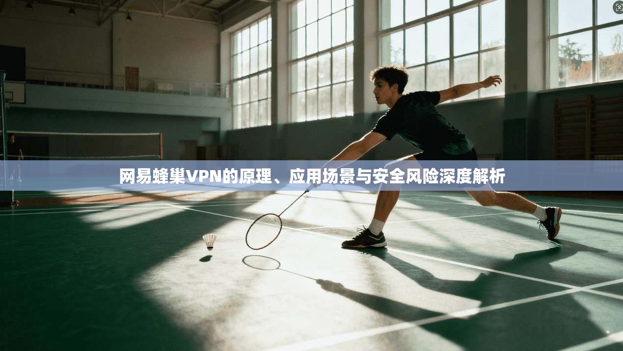 网易蜂巢VPN的原理、应用场景与安全风险深度解析  第1张