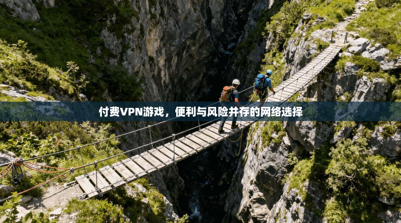 付费VPN游戏，便利与风险并存的网络选择  第1张