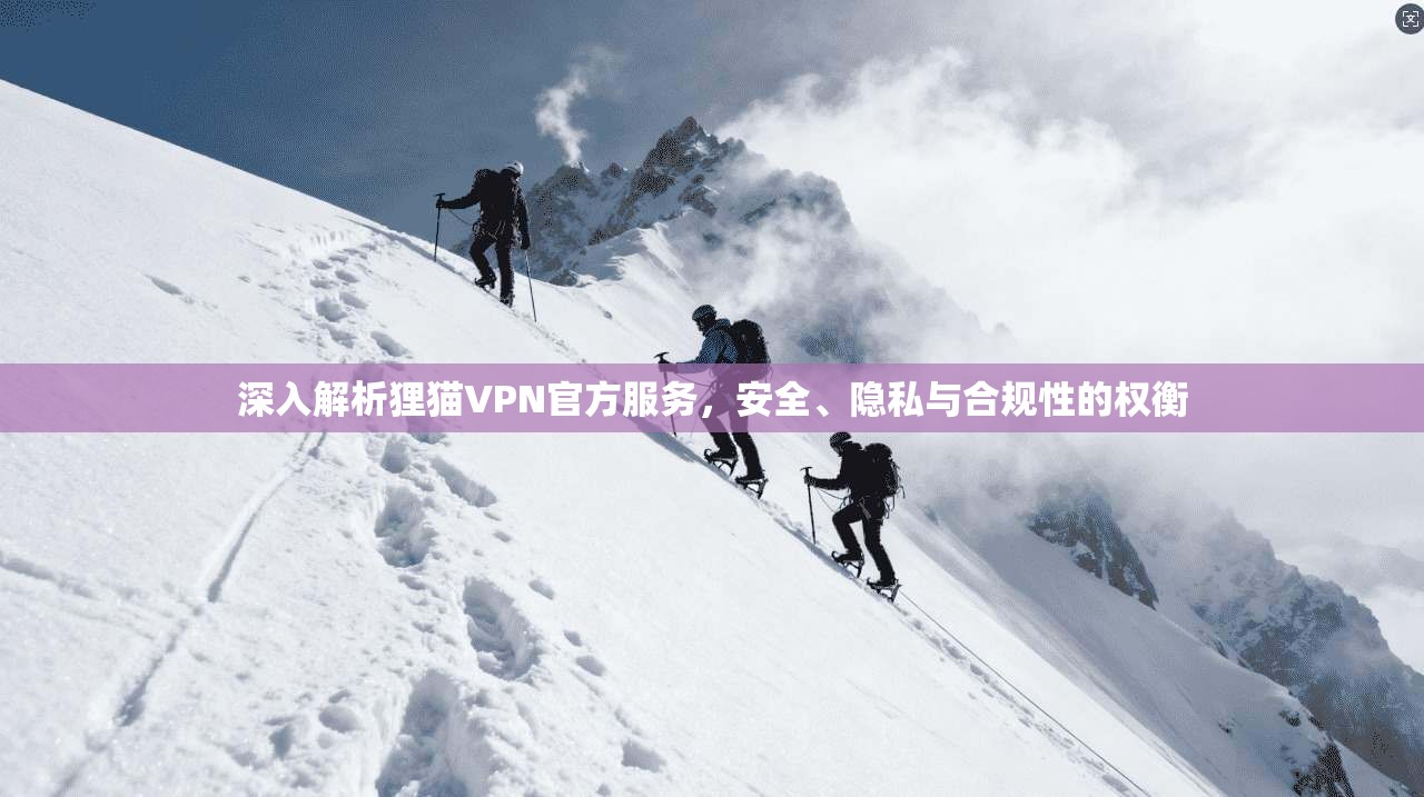 深入解析狸猫VPN官方服务,安全、隐私与合规性的权衡 第1张 深入解析狸猫VPN官方服务,安全、隐私与合规性的权衡 第1张