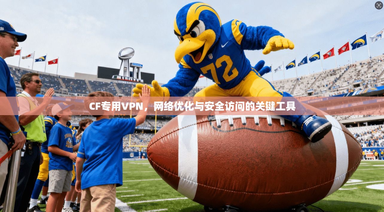 CF专用VPN，网络优化与安全访问的关键工具  第1张