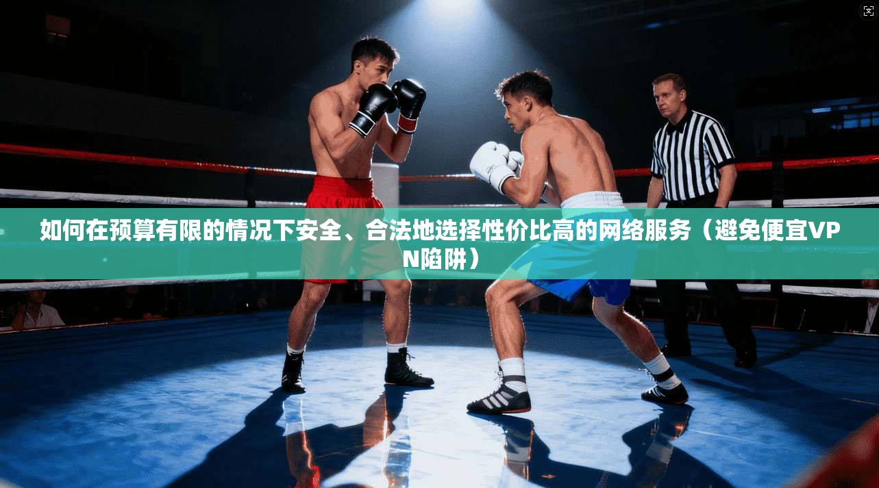 如何在预算有限的情况下安全、合法地选择性价比高的网络服务（避免便宜VPN陷阱）  第1张