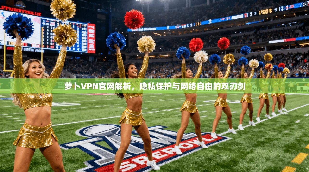 萝卜VPN官网解析，隐私保护与网络自由的双刃剑  第1张